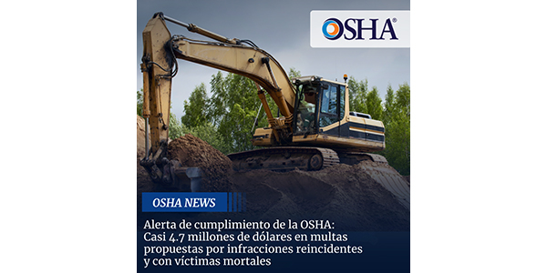 Exigir responsabilidad a los infractores